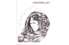 Charisma 13 